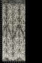 VL242