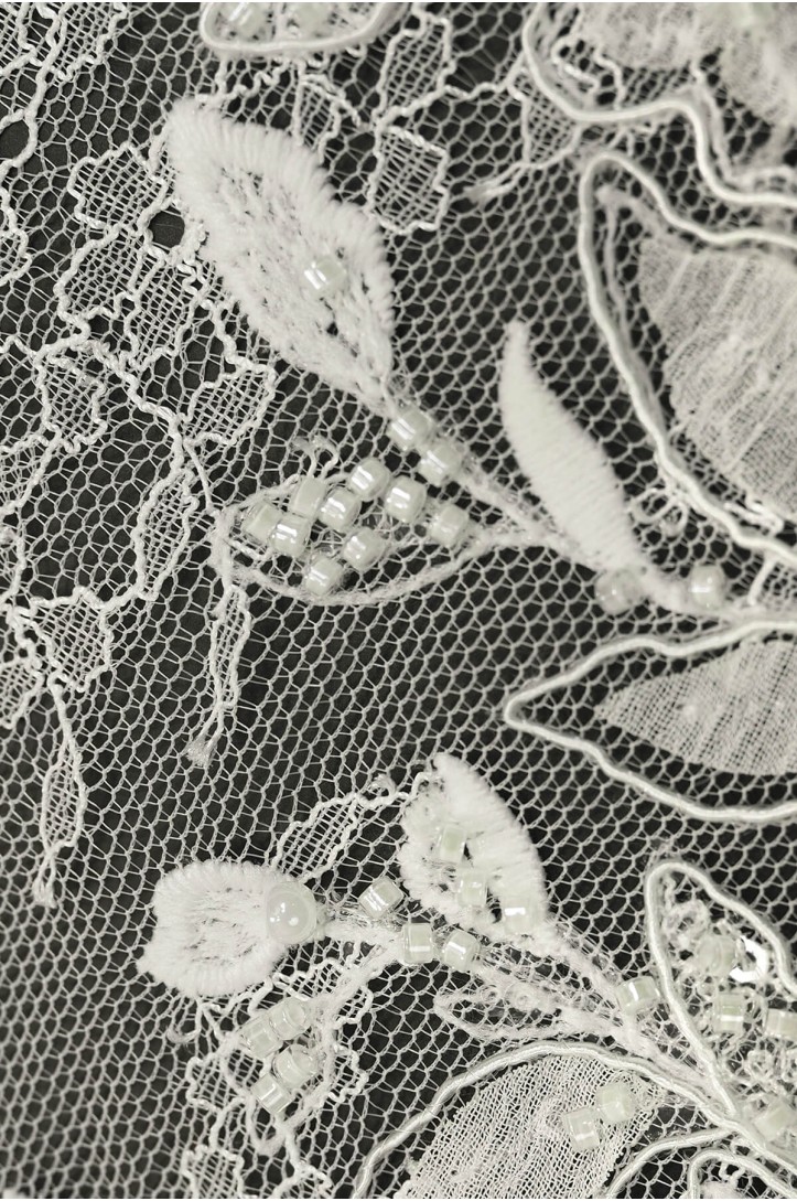 VL242