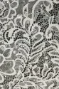 FRENCH LACE VL56209