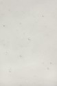 Soft Glitter Tulle with Pearls LER NAL GLITTER PEARL