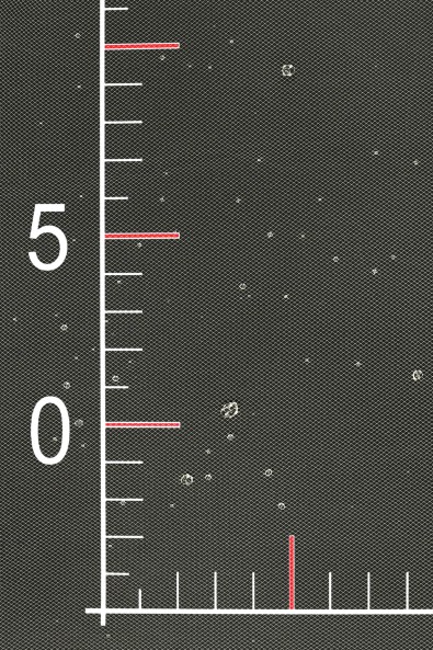 Decorative Tulle VL15125 – Dew Drop Effect