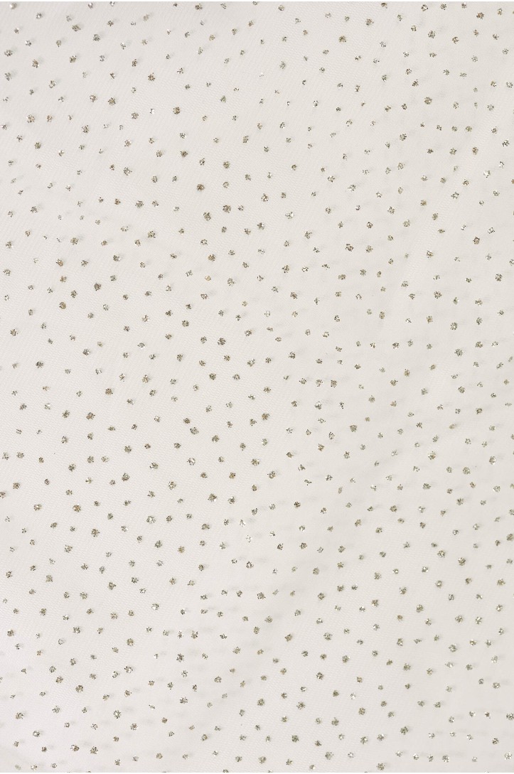 Tulle with Glitter Dots RGDE