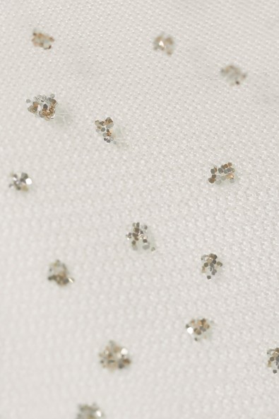 Tulle with Glitter Dots RGDE