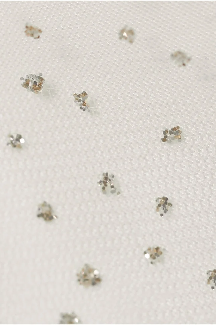 Tulle with Glitter Dots RGDE