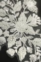 BAND VL558176