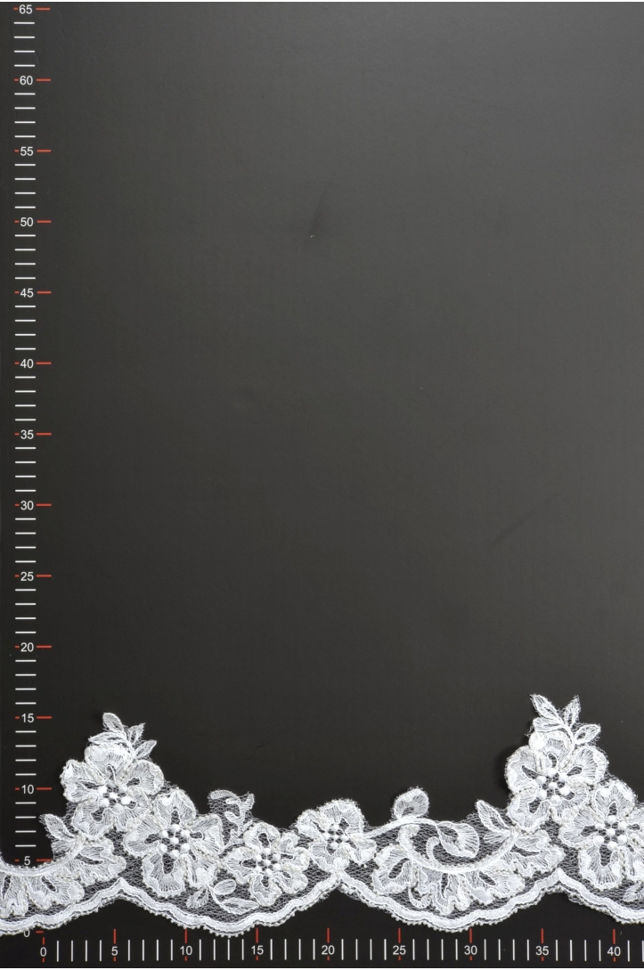 TRIM  ML91123