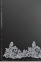 ML77919 BAND