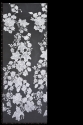 W52443 PRONOVIAS