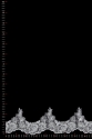 ML79436 BAND