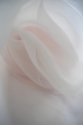 ORGANZA SEIDE