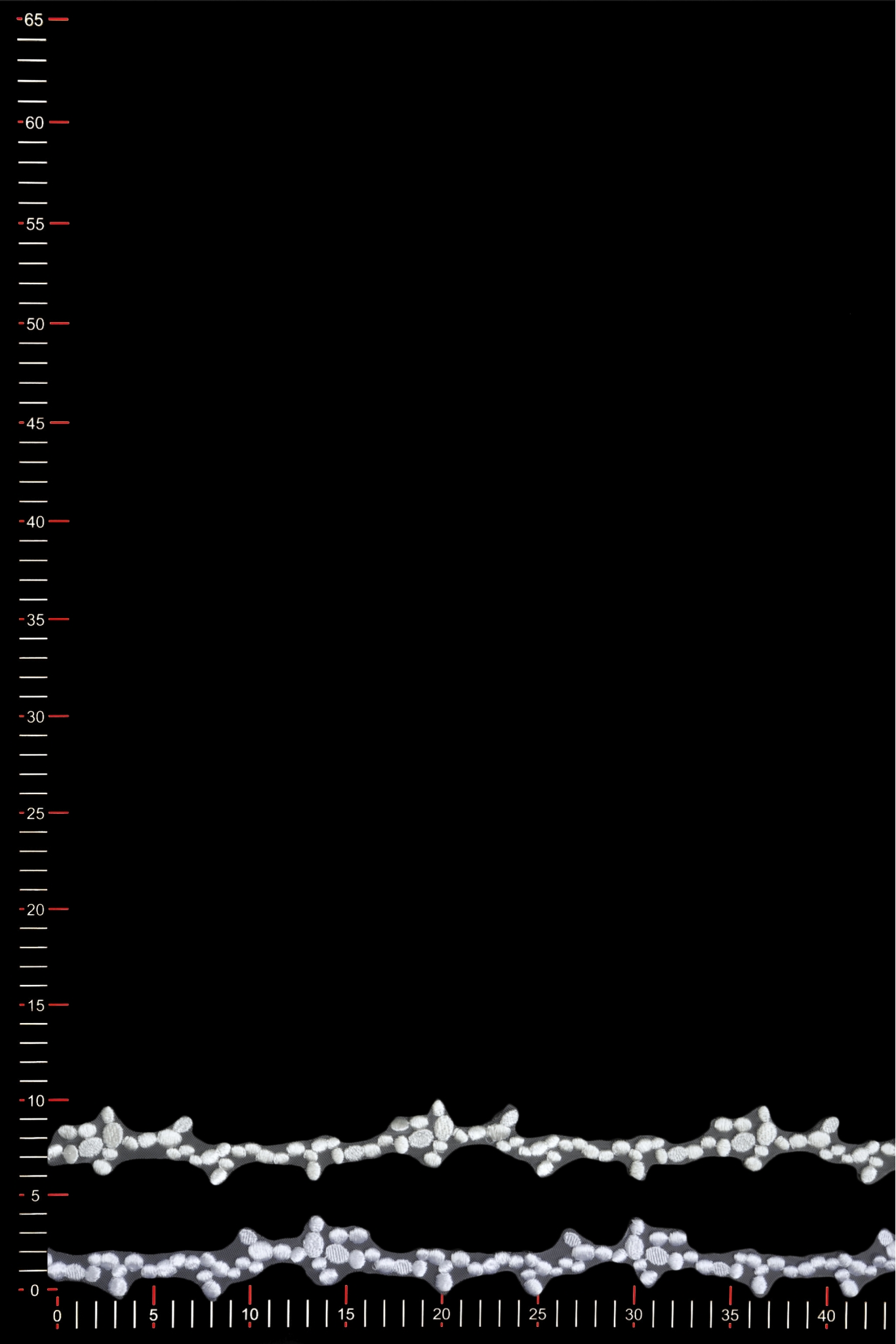 MT231479